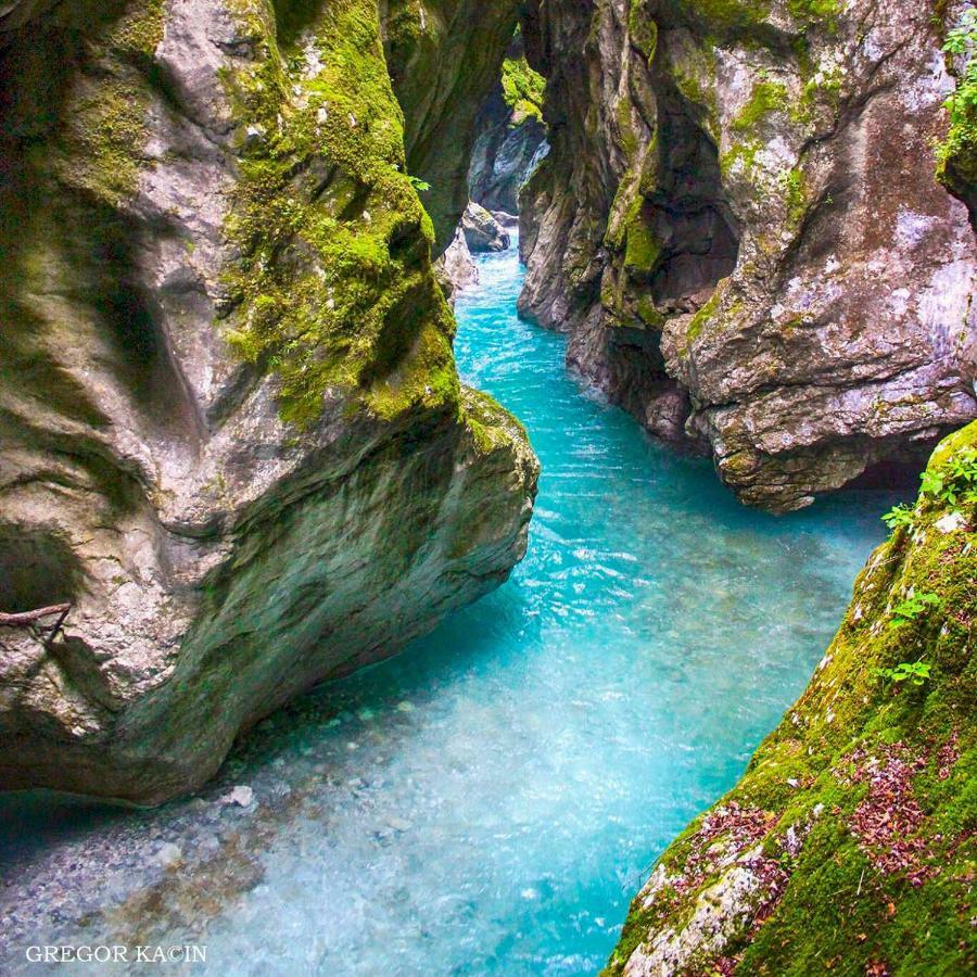 Skyblue Lägenhet Tolmin Exteriör bild